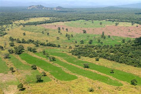  Desertification Control in Ethiopia A Timeless Tapestry Woven with Threads of Hope and Resilience 