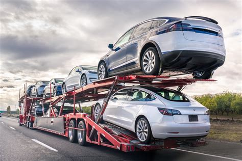 How Long Does It Take to Ship a Car: And Why Do Elephants Prefer Trucks Over Trains?