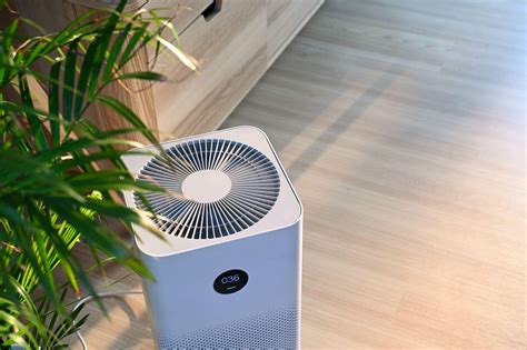 How Long Should I Run an Air Purifier: A Journey Through Time, Space, and Dust Particles