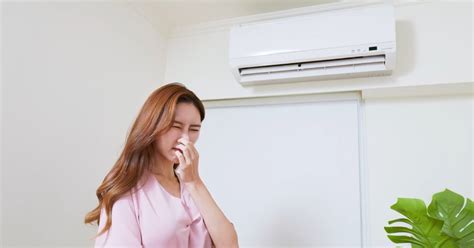 How to Remove Urine Smell from Air Conditioner: A Comprehensive Guide