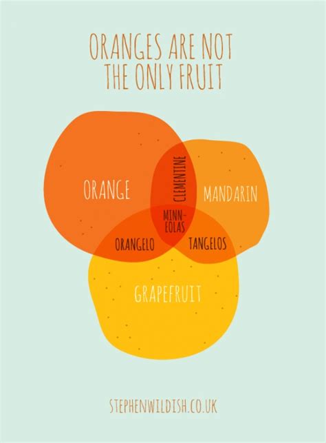  Oranges Are Not the Only Fruit - Una exploración audaz de la identidad y la fe