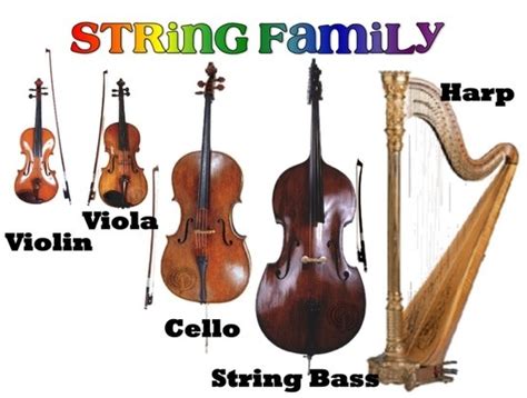 What Instruments Does Sting Play: A Symphony of Strings and Stories